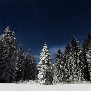 国产精品手机在线播放
